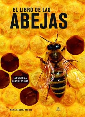 EL LIBRO DE LAS ABEJAS | 9788466240024 | SÁNCHEZ VADILLO, MARÍA | Galatea Llibres | Librería online de Reus, Tarragona | Comprar libros en catalán y castellano online
