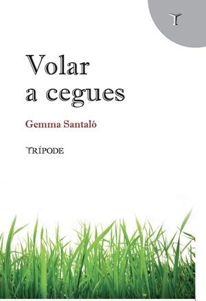 VOLAR A CEGUES | 9788412392005 | SANTALÓ, GEMMA | Galatea Llibres | Librería online de Reus, Tarragona | Comprar libros en catalán y castellano online