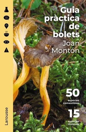 GUIA PRÀCTICA DE BOLETS | 9788418473852 | MONTÓN, JOAN | Galatea Llibres | Llibreria online de Reus, Tarragona | Comprar llibres en català i castellà online