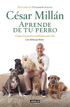 APRENDE DE TU PERRO | 9788403518445 | MILLÁN, CÉSAR | Galatea Llibres | Llibreria online de Reus, Tarragona | Comprar llibres en català i castellà online