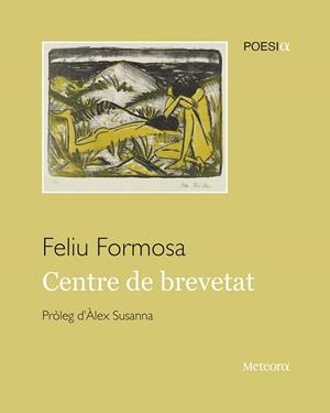 CENTRE DE BREVETAT | 9788412293050 | FORMOSA TORRES, FELIU | Galatea Llibres | Librería online de Reus, Tarragona | Comprar libros en catalán y castellano online