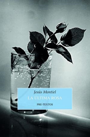 LA ÚLTIMA ROSA | 9788418178993 | MONTIEL, JESÚS | Galatea Llibres | Llibreria online de Reus, Tarragona | Comprar llibres en català i castellà online