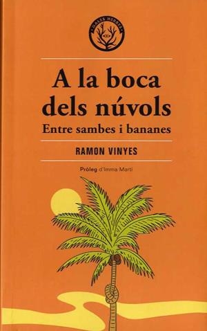 A LA BOCA DELS NÚVOLS | 9788412316582 | VINYES CLUET, RAMON | Galatea Llibres | Llibreria online de Reus, Tarragona | Comprar llibres en català i castellà online