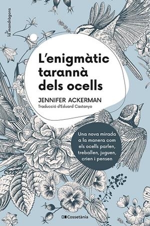 L'ENIGMÀTIC TARANNÀ DELS OCELLS | 9788413560472 | ACKERMAN, JENNIFER | Galatea Llibres | Librería online de Reus, Tarragona | Comprar libros en catalán y castellano online