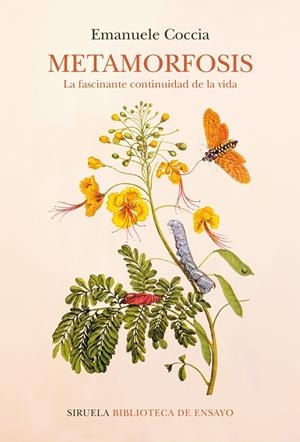 METAMORFOSIS | 9788418859052 | COCCIA, EMANUELE | Galatea Llibres | Librería online de Reus, Tarragona | Comprar libros en catalán y castellano online