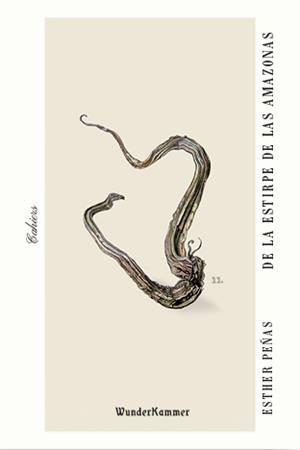 DE LA ESTIRPE DE LAS AMAZONAS | 9788412401004 | PEÑAS DOMINGO, ESTHER | Galatea Llibres | Librería online de Reus, Tarragona | Comprar libros en catalán y castellano online