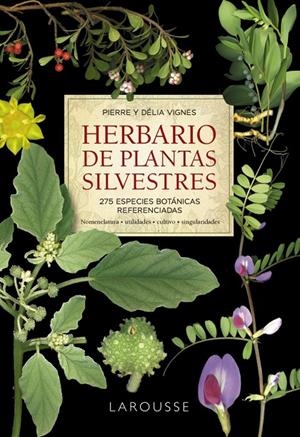 HERBARIO DE PLANTAS SILVESTRES | 9788418473999 | VIGNES, PIERRE/VIGNES, DÉLIA | Galatea Llibres | Llibreria online de Reus, Tarragona | Comprar llibres en català i castellà online
