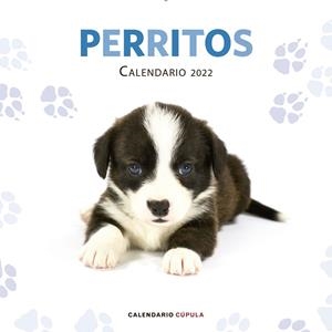 CALENDARIO PERRITOS 2022 | 9788448028701 | AA. VV. | Galatea Llibres | Llibreria online de Reus, Tarragona | Comprar llibres en català i castellà online