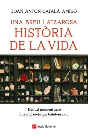 UNA BREU I ATZAROSA HISTÒRIA DE LA VIDA | 9788418197956 | CATALÀ AMIGÓ, JOAN ANTON | Galatea Llibres | Llibreria online de Reus, Tarragona | Comprar llibres en català i castellà online