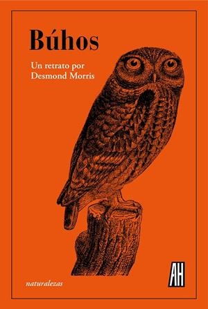 BÚHOS | 9788412403381 | MORRIS, DESMOND | Galatea Llibres | Librería online de Reus, Tarragona | Comprar libros en catalán y castellano online
