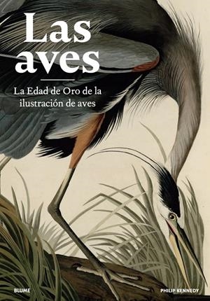LAS AVES | 9788418725500 | KENNEDY, PHILIP | Galatea Llibres | Librería online de Reus, Tarragona | Comprar libros en catalán y castellano online
