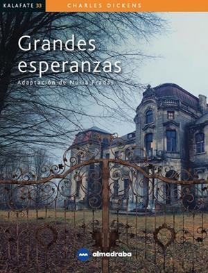 GRANDES ESPERANZAS | 9788417563332 | Galatea Llibres | Librería online de Reus, Tarragona | Comprar libros en catalán y castellano online