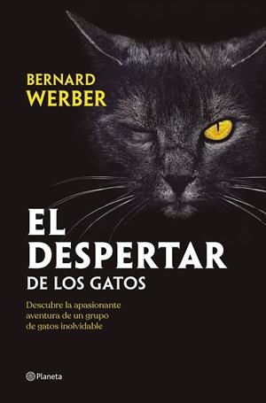 EL DESPERTAR DE LOS GATOS | 9788408251835 | WERBER, BERNARD | Galatea Llibres | Librería online de Reus, Tarragona | Comprar libros en catalán y castellano online