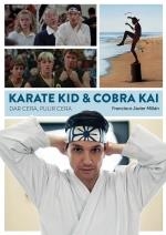 KARATE KID & COBRA KAI DAR CERA PULIR CERA | 9788418320583 | MILLAN, FRANCISCO JAVIER | Galatea Llibres | Llibreria online de Reus, Tarragona | Comprar llibres en català i castellà online
