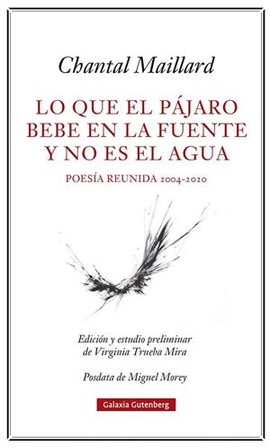 LO QUE EL PÁJARO BEBE EN LA FUENTE Y NO ES EL AGUA | 9788418807633 | MAILLARD, CHANTAL | Galatea Llibres | Llibreria online de Reus, Tarragona | Comprar llibres en català i castellà online