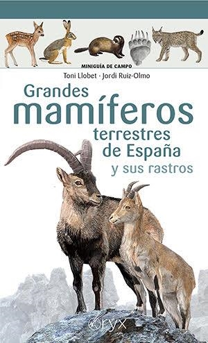 GRANDES MAMÍFEROS TERRESTRES DE ESPAÑA Y SUS RASTROS | 9788418735073 | LLOBET FRANÇOIS, TONI/RUIZ-OLMO , JORDI | Galatea Llibres | Librería online de Reus, Tarragona | Comprar libros en catalán y castellano online