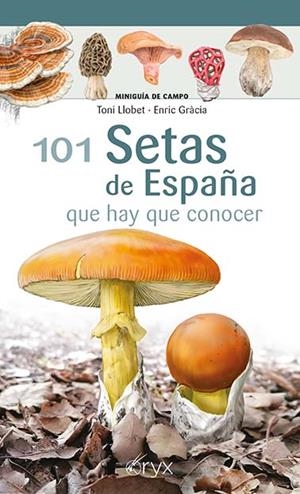101 SETAS DE ESPAÑA | 9788418735080 | LLOBET FRANÇOIS, TONI/GRÀCIA I BARBA, ENRIC | Galatea Llibres | Librería online de Reus, Tarragona | Comprar libros en catalán y castellano online