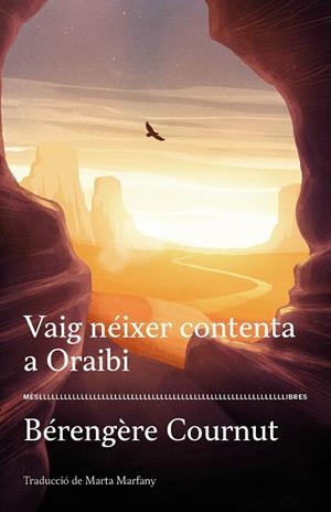 VAIG NÉIXER CONTENTA A ORAIBI | 9788417353377 | COURNUT, BÉRENGÈRE | Galatea Llibres | Librería online de Reus, Tarragona | Comprar libros en catalán y castellano online