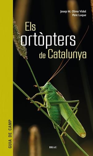 ELS ORTÒPTERS DE CATALUNYA | 9788418096266 | OLMO VIDAL, JOSEP M/LUQUE PINO, PERE | Galatea Llibres | Llibreria online de Reus, Tarragona | Comprar llibres en català i castellà online