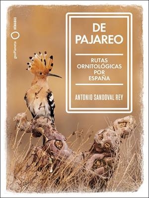 DE PAJAREO | 9788408251514 | SANDOVAL, ANTONIO | Galatea Llibres | Llibreria online de Reus, Tarragona | Comprar llibres en català i castellà online