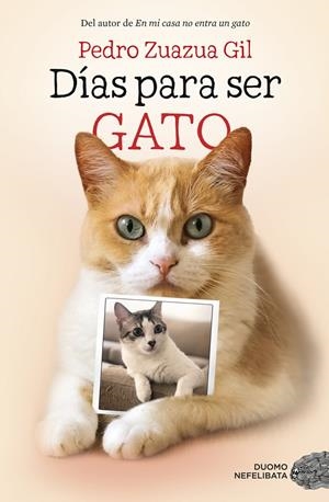 DIAS PARA SER GATO | 9788417128524 | ZUAZUA GIL, PEDRO | Galatea Llibres | Llibreria online de Reus, Tarragona | Comprar llibres en català i castellà online