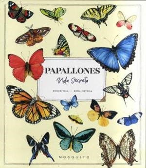 PAPALLONES VIDA SECRETA | 9788412451597 | VILA, ROGER/ORTEGA, RENA | Galatea Llibres | Llibreria online de Reus, Tarragona | Comprar llibres en català i castellà online