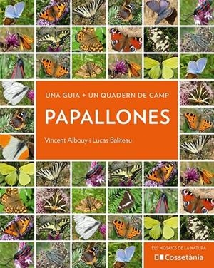 PAPALLONES | 9788413560540 | ALBOUY, VINCENT/BALITEAU, LUCAS | Galatea Llibres | Llibreria online de Reus, Tarragona | Comprar llibres en català i castellà online