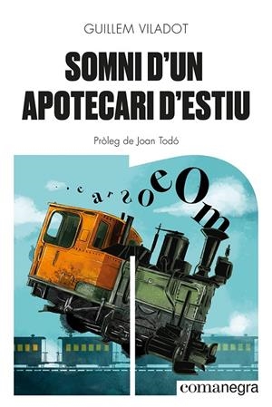 SOMNI D'UN APOTECARI D'ESTIU | 9788418857645 | VILADOT, GUILLEM | Galatea Llibres | Librería online de Reus, Tarragona | Comprar libros en catalán y castellano online