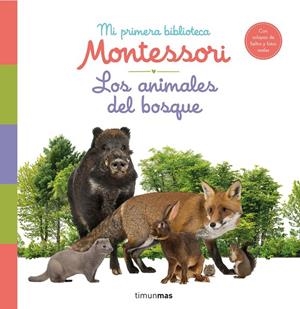 LOS ANIMALES DEL BOSQUE. MI PRIMERA BIBLIOTECA MONTESSORI | 9788408244608 | Galatea Llibres | Librería online de Reus, Tarragona | Comprar libros en catalán y castellano online