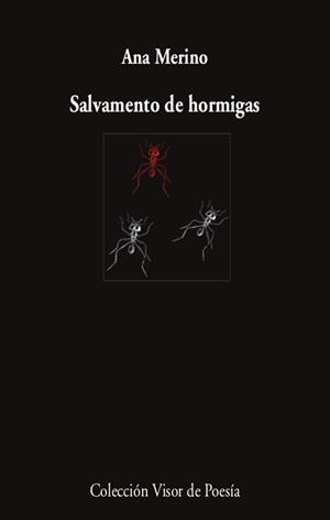 SALVAMENTO DE HORMIGAS | 9788498954630 | MERINO, ANA | Galatea Llibres | Llibreria online de Reus, Tarragona | Comprar llibres en català i castellà online