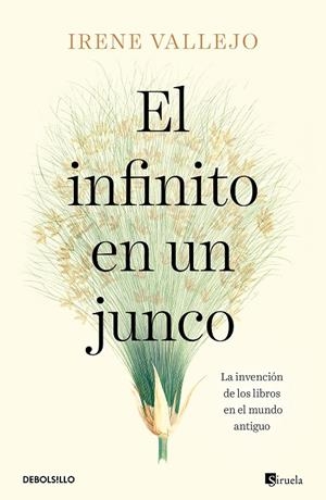 EL INFINITO EN UN JUNCO | 9788466358293 | VALLEJO, IRENE | Galatea Llibres | Llibreria online de Reus, Tarragona | Comprar llibres en català i castellà online