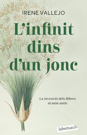 L'INFINIT DINS D'UN JONC | 9788419107121 | VALLEJO, IRENE | Galatea Llibres | Librería online de Reus, Tarragona | Comprar libros en catalán y castellano online