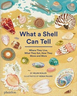WHAT A SHELL CAN TELL | 9781838664305 | PULIDO, SONIA / SCALES, HELEN | Galatea Llibres | Llibreria online de Reus, Tarragona | Comprar llibres en català i castellà online