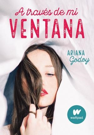 A TRAVES DE MI VENTANA | 9788420451916 | GODOY, ARIANA | Galatea Llibres | Llibreria online de Reus, Tarragona | Comprar llibres en català i castellà online