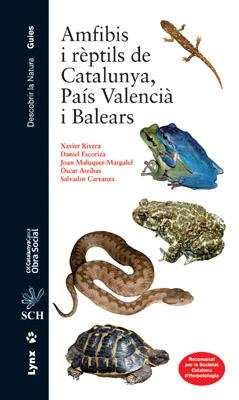 AMFIBIS I RÈPTILS DE CATALUNYA, PAÍS VALENCIÀ I BALEARS | 9788496553538 | RIVERA, XAVIER/ESCORIZA DANIEL/MALUQUER-MARGALEF, JOAN/ARRIBAS, OSCAR/CARRANZA, SALVADOR/FILELLA SUB | Galatea Llibres | Librería online de Reus, Tarragona | Comprar libros en catalán y castellano online