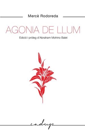 AGONIA DE LLUM | 9788412455748 | RODOREDA GURGUI, MERCÈ | Galatea Llibres | Librería online de Reus, Tarragona | Comprar libros en catalán y castellano online