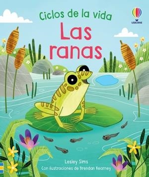 LAS RANAS. CICLOS DE LA VIDA | 9781801317887 | SIMS, LESLEY | Galatea Llibres | Librería online de Reus, Tarragona | Comprar libros en catalán y castellano online