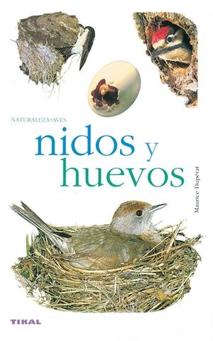 NIDOS Y HUEVOS | 9788430552528 | DUPERAT, MAURICE | Galatea Llibres | Llibreria online de Reus, Tarragona | Comprar llibres en català i castellà online