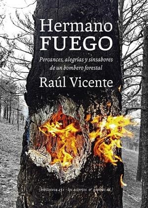 HERMANO FUEGO | 9788412434521 | VICENTE PÉREZ, RAÚL | Galatea Llibres | Librería online de Reus, Tarragona | Comprar libros en catalán y castellano online