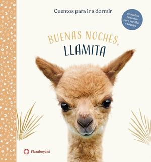 BUENAS NOCHES, LLAMITA | 9788417749941 | WOOD, AMANDA | Galatea Llibres | Llibreria online de Reus, Tarragona | Comprar llibres en català i castellà online