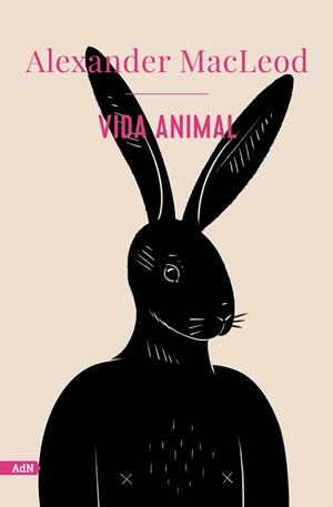 VIDA ANIMAL | 9788413629520 | MACLEOD, ALEXANDER | Galatea Llibres | Llibreria online de Reus, Tarragona | Comprar llibres en català i castellà online