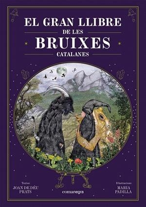 EL GRAN LLIBRE DE LES BRUIXES CATALANES | 9788418857751 | PRATS, JOAN DE DÉU/PADILLA CLIMENT, MARIA | Galatea Llibres | Librería online de Reus, Tarragona | Comprar libros en catalán y castellano online