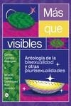 MÁS QUE VISIBLES | 9788418501661 | CASTAÑO RODRÍGUEZ, CARLOS/DOMÍNGUEZ RUIZ, IGNACIO ELPIDIO | Galatea Llibres | Llibreria online de Reus, Tarragona | Comprar llibres en català i castellà online