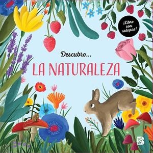 DESCUBRO? LA NATURALEZA | 9789403229386 | Galatea Llibres | Librería online de Reus, Tarragona | Comprar libros en catalán y castellano online