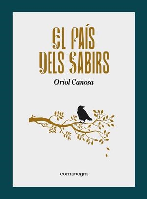 EL PAÍS DELS SABIRS | 9788418857799 | CANOSA, ORIOL | Galatea Llibres | Llibreria online de Reus, Tarragona | Comprar llibres en català i castellà online