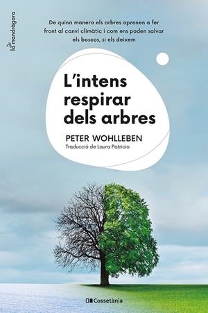 L'INTENS RESPIRAR DELS ARBRES | 9788413562087 | WOHLLEBEN, PETER | Galatea Llibres | Librería online de Reus, Tarragona | Comprar libros en catalán y castellano online