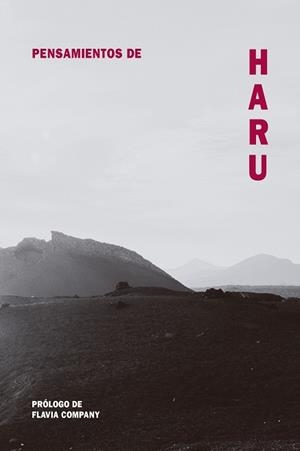 PENSAMIENTOS DE HARU | 9788418223495 | COMPANY, FLAVIA | Galatea Llibres | Llibreria online de Reus, Tarragona | Comprar llibres en català i castellà online