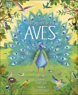 LA VIDA SECRETA DE LAS AVES | 9780241583357 | LINDO, DAVID | Galatea Llibres | Llibreria online de Reus, Tarragona | Comprar llibres en català i castellà online