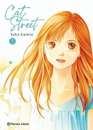 CAT STREET 1/4 | 9788491534624 | KAMIO, YOKO | Galatea Llibres | Llibreria online de Reus, Tarragona | Comprar llibres en català i castellà online