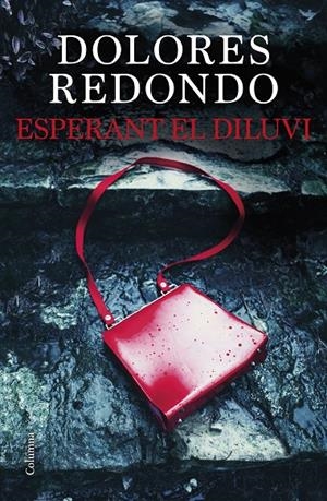ESPERANT EL DILUVI | 9788466429849 | REDONDO, DOLORES | Galatea Llibres | Llibreria online de Reus, Tarragona | Comprar llibres en català i castellà online